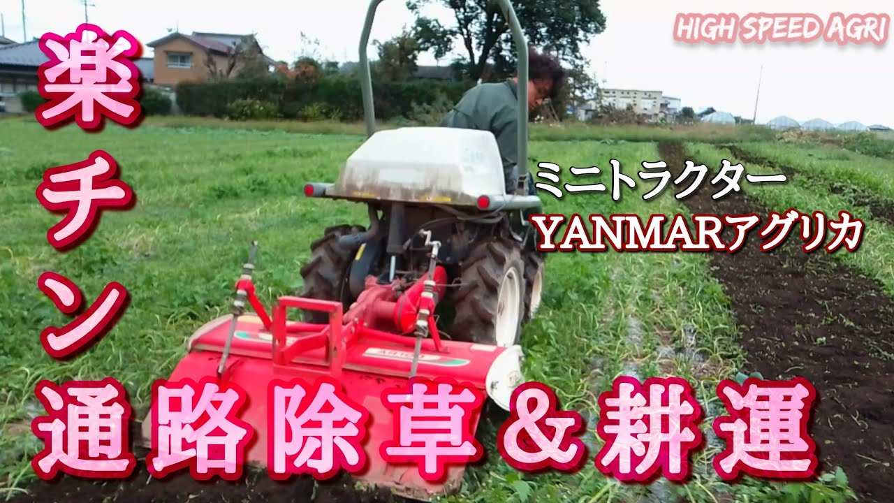 【YANMARアグリカ】ニンニク畑もトラクターで通路耕運。