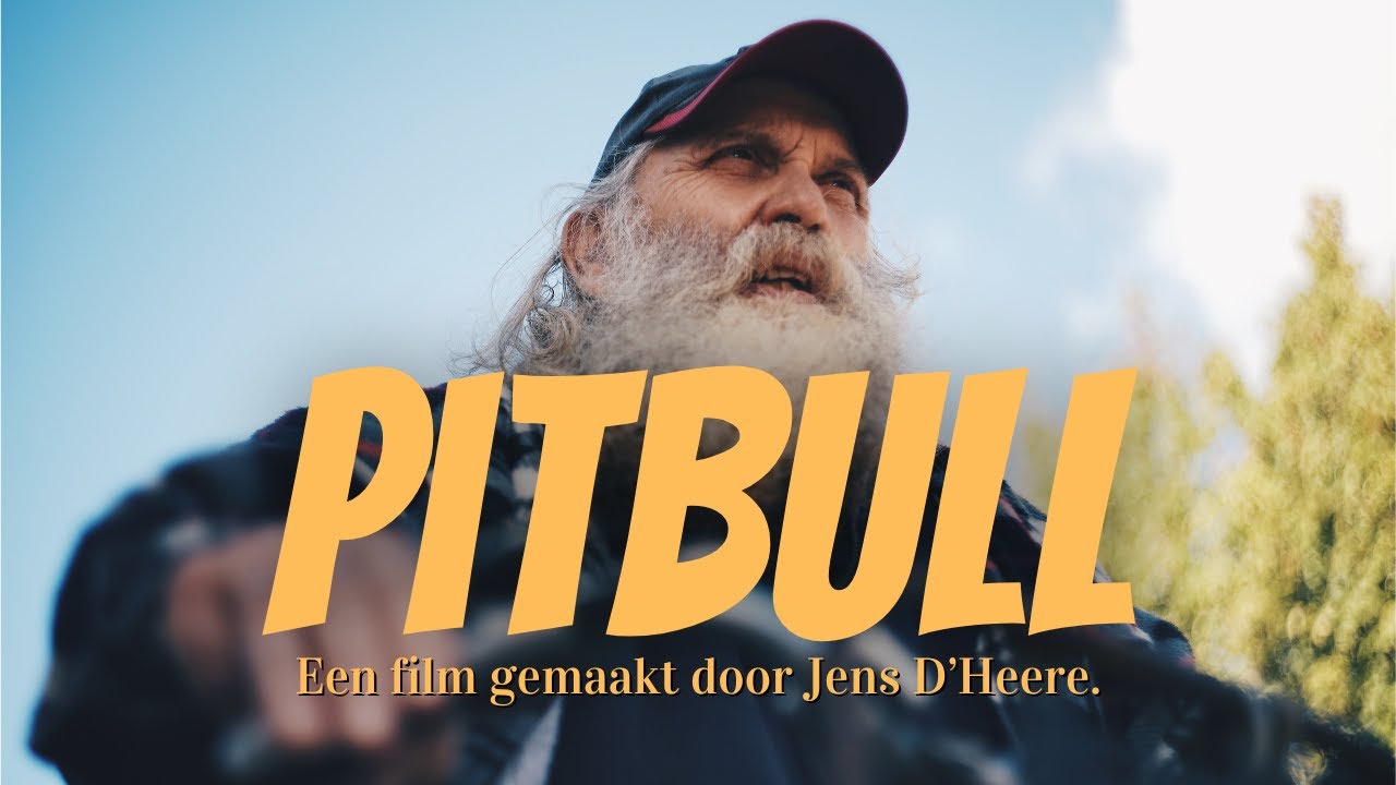 Pitbull - 3de Vertoning