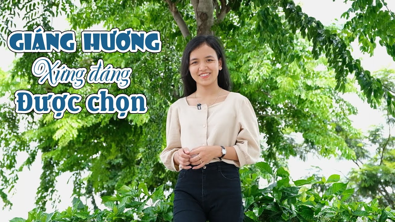 GIÁNG HƯƠNG - MỘT TRONG NHỮNG CÂY ĐƯỢC LỰA CHỌN ĐẦU TIÊN CHO TRỒNG CẢNH QUAN