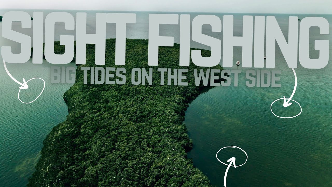 Crystal River SIGHT FISHING for REDS and SNOOKS