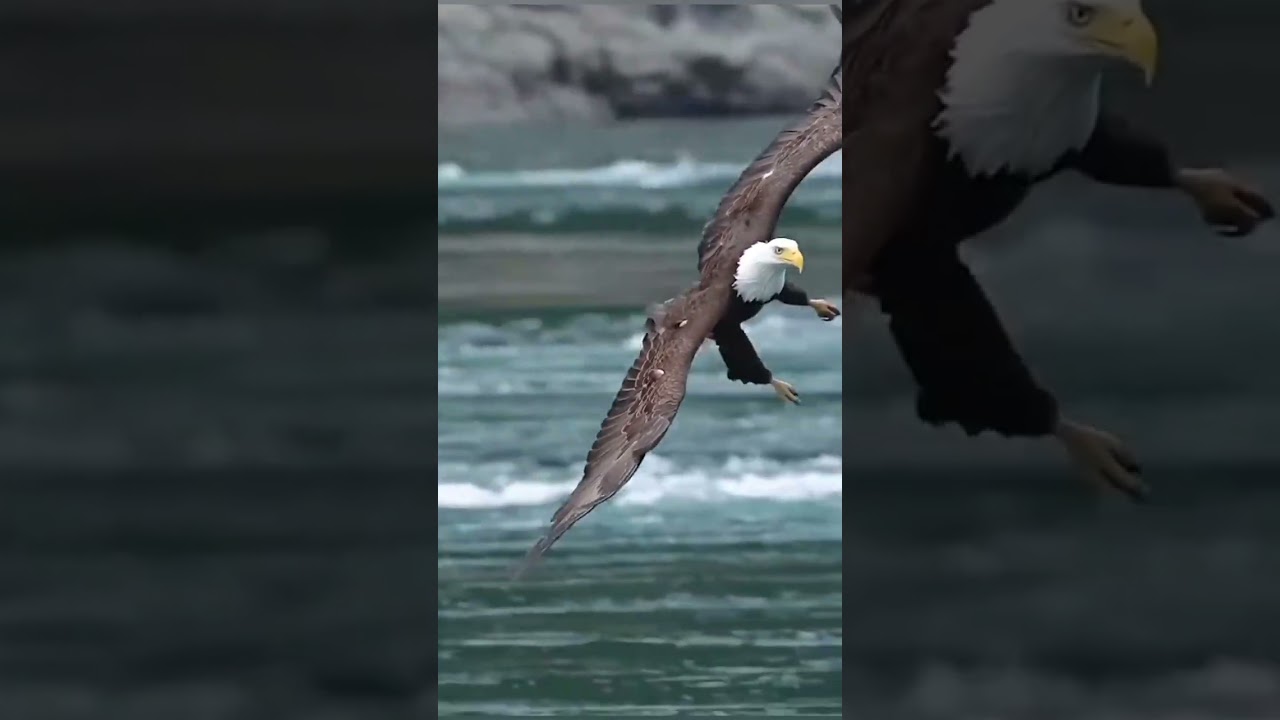 Eagle Glide Approach Befoe Pick N' Go