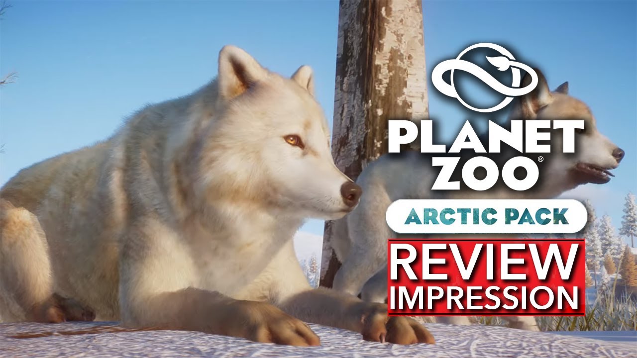 PLANET ZOO ARCTIC PACK - REVIEW IMPRESSIONS | The perfect pack for Winter [2020]