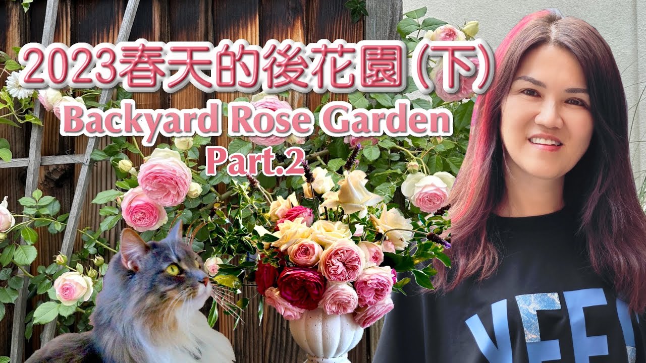 2023春天的後花園(下) Backyard Rose Garden (Part II)
