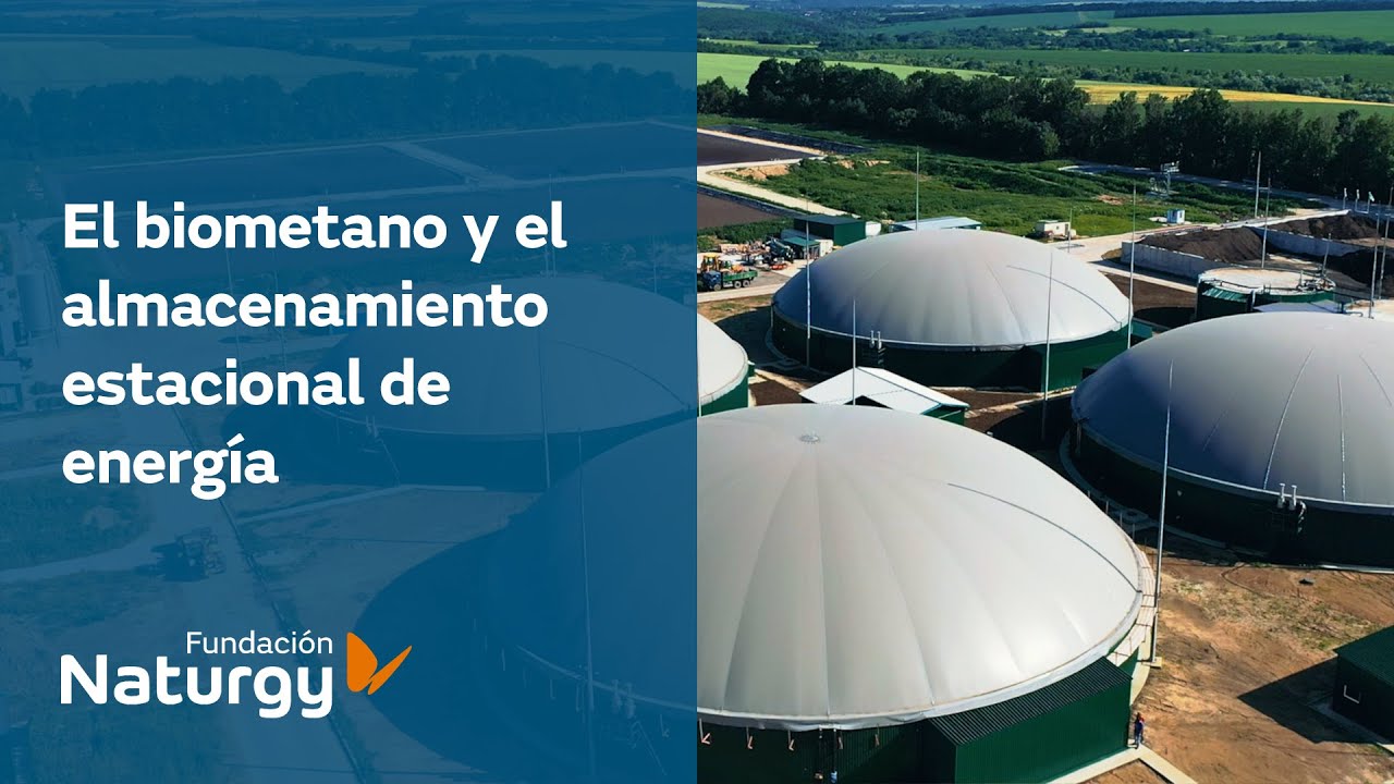 El biometano y el almacenamiento estacional de energía