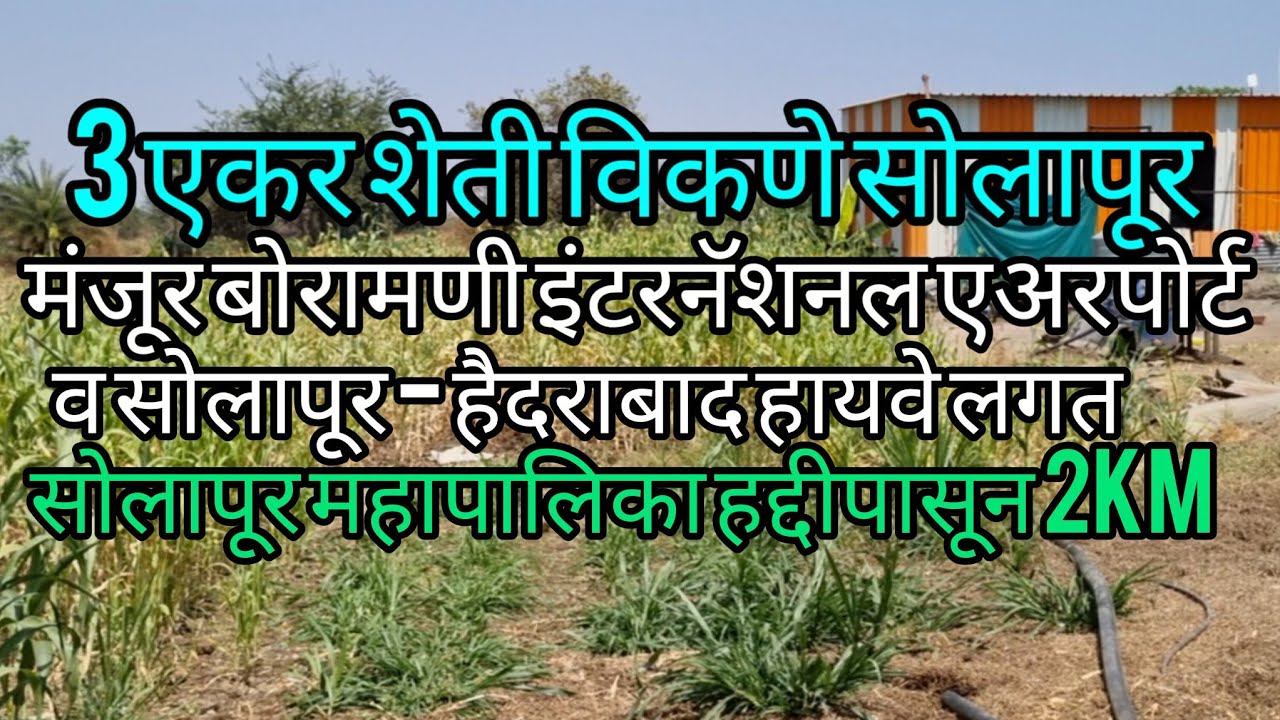 3 एकर शेती विकणे सोलापूर 