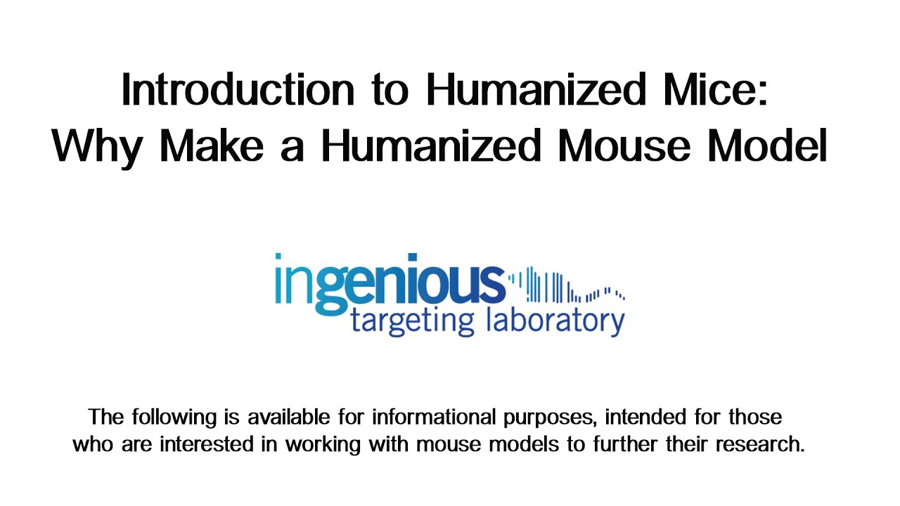 Introduction to Humanized Mice by Ingenious Targeting Laboratory