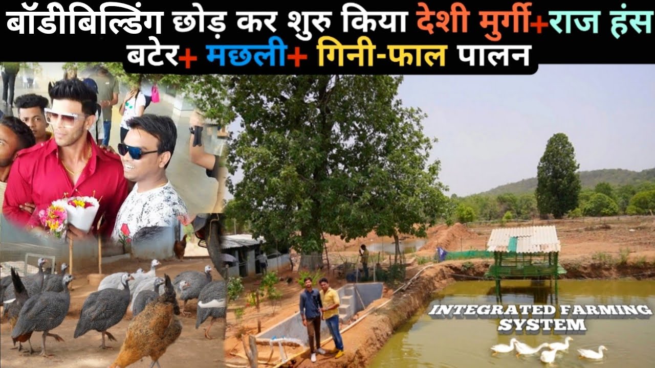 बॉडीबिल्डर किसान भाई का पहाड़ों से घिरा Integrated Farming System । देशी मुर्गी+ राज हंस+गिनीफल पालन