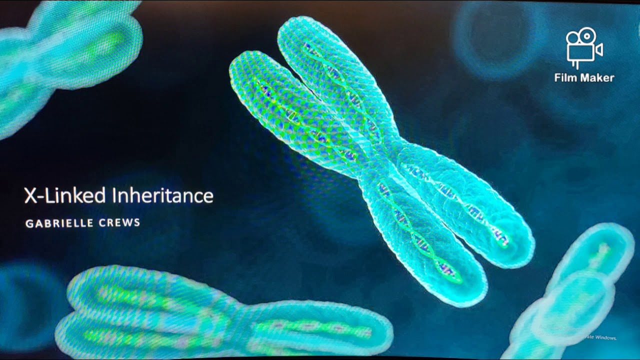 X-Linked Inheritance and X-Inactivation