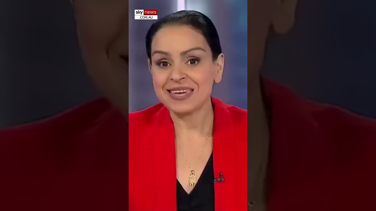 Rita Panahi destroys MSNBC over plummeting ratings