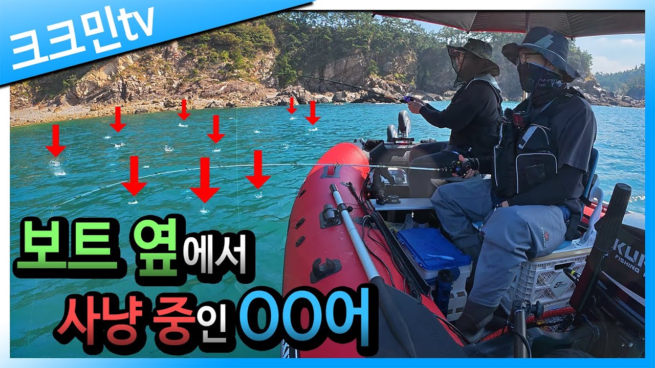 어은돌 우럭 다운샷 낚시(feat.저마력 고무보트)