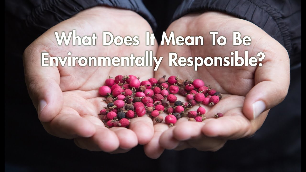 Part 1:  What does it mean to be environmentally responsible?