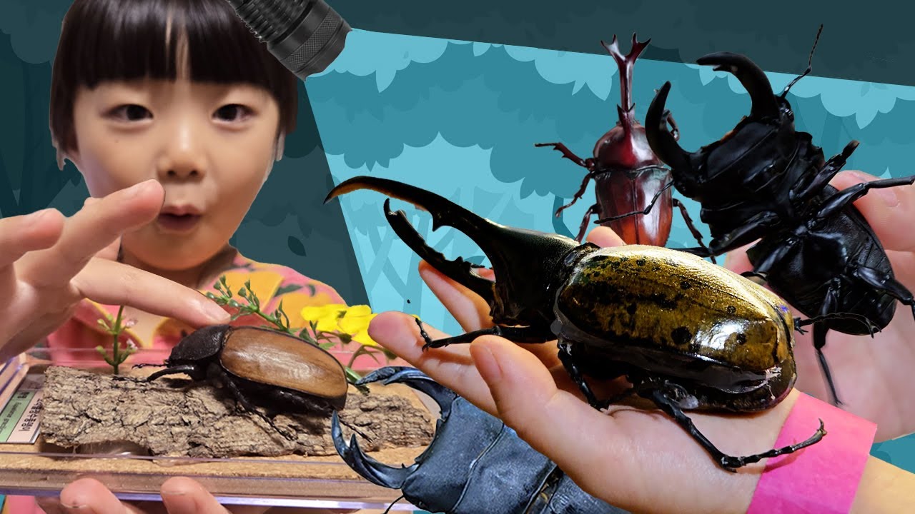 지아와 아빠의 곤충 만지기 체험!! 국내 최대 규모 곤충 박물관 투어! Korea’s Biggest Bugrium!!