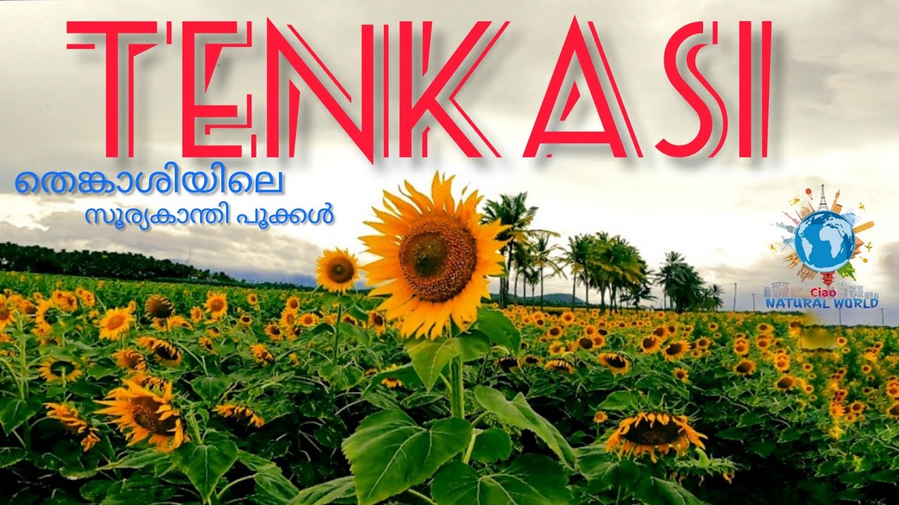 TENKASI|TAMIL NADU|S.INDIA|Ciao N A T U R A L WORLD|By Vinod Lukose Vettukallel