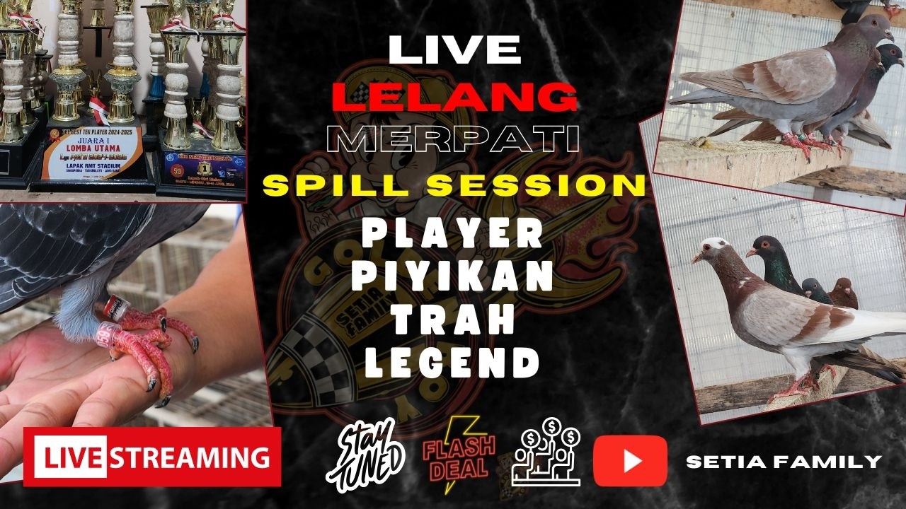 [LIVE] PANTAU SAMPAI JADIIII