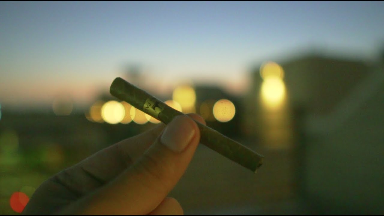 ROOFTOP KING PALM SESH