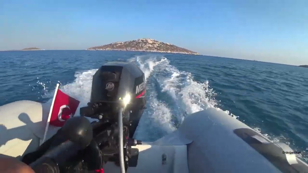 taşaltı ve gaşon avlarım yeni