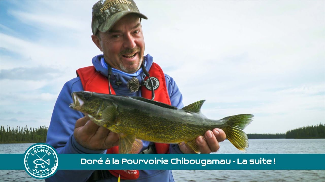 Doré à la Pourvoirie Chibougamau - La suite !