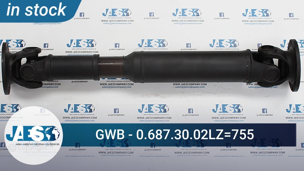 GWB 0 687 30 02LZ=755 (IN STOCK) Shaft - Albero - &aacute;rbol