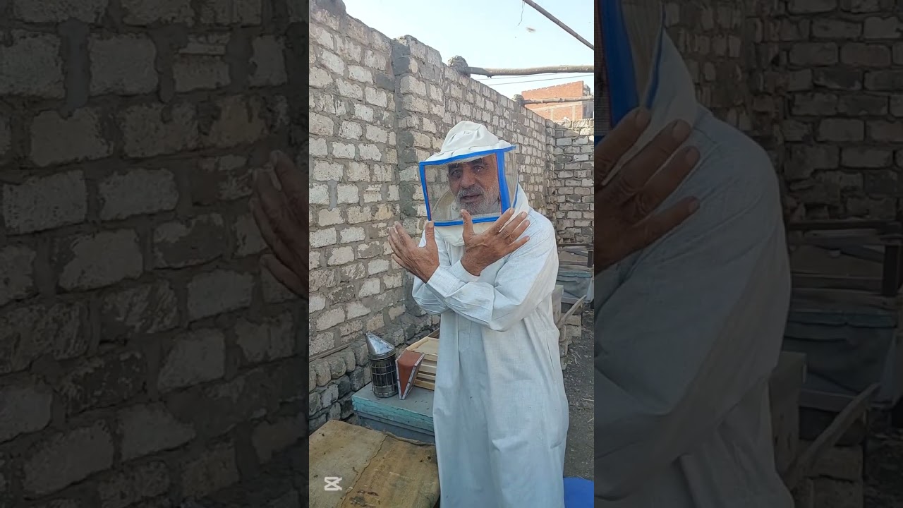 التحكم فى توجيه النحل لبناء الأساس او الحضنه