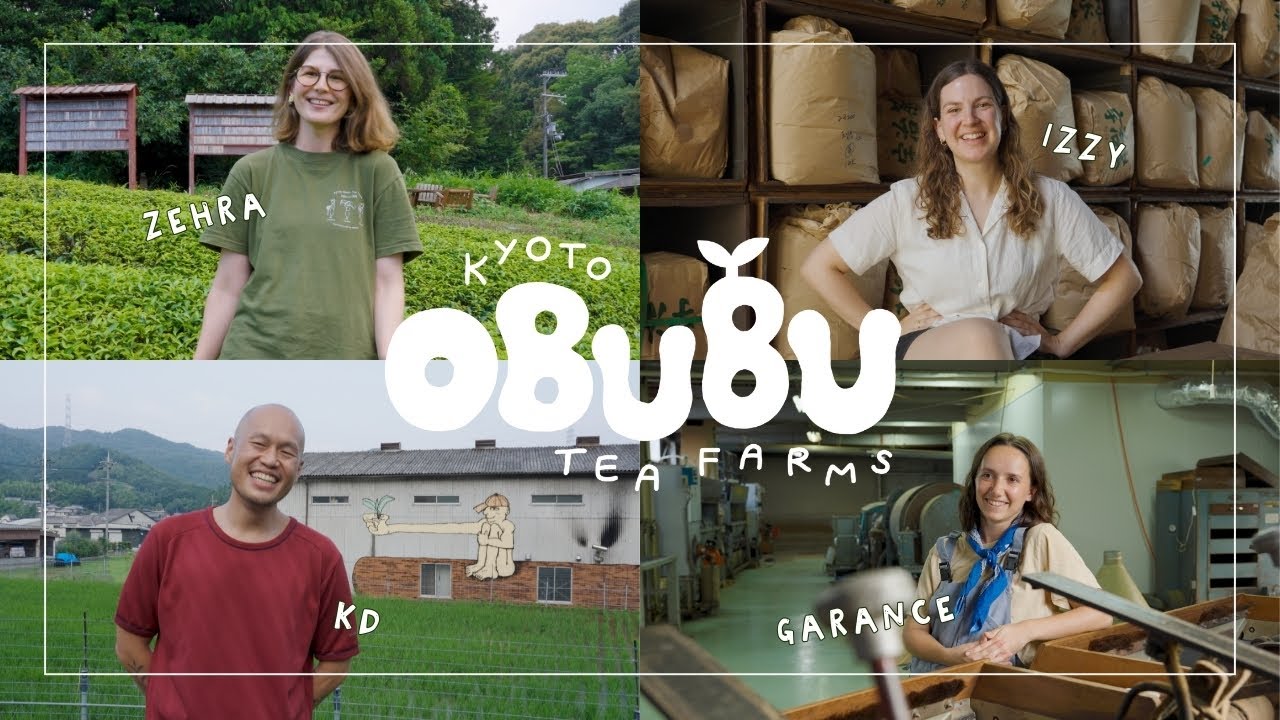 Japanese Tea Farm Internship: Spring - Summer 2025
