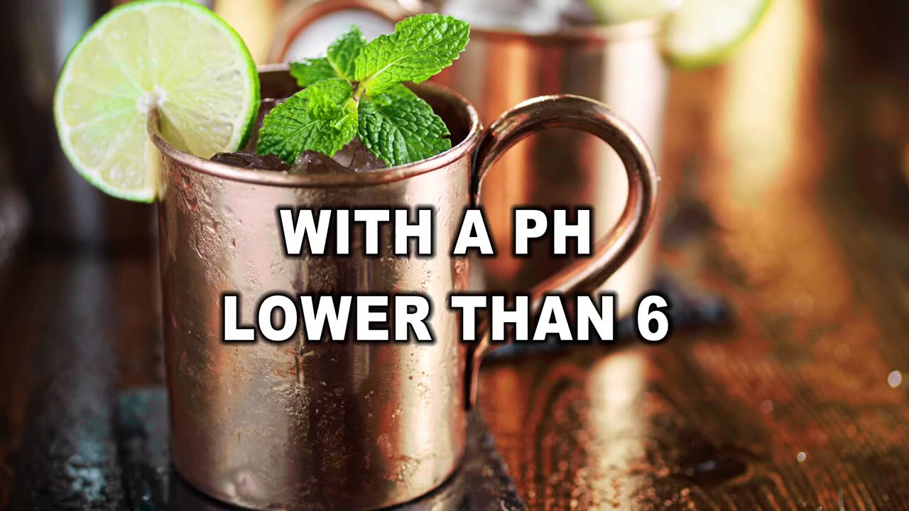 Moscow Mule's copper mugs may cause food poisoning