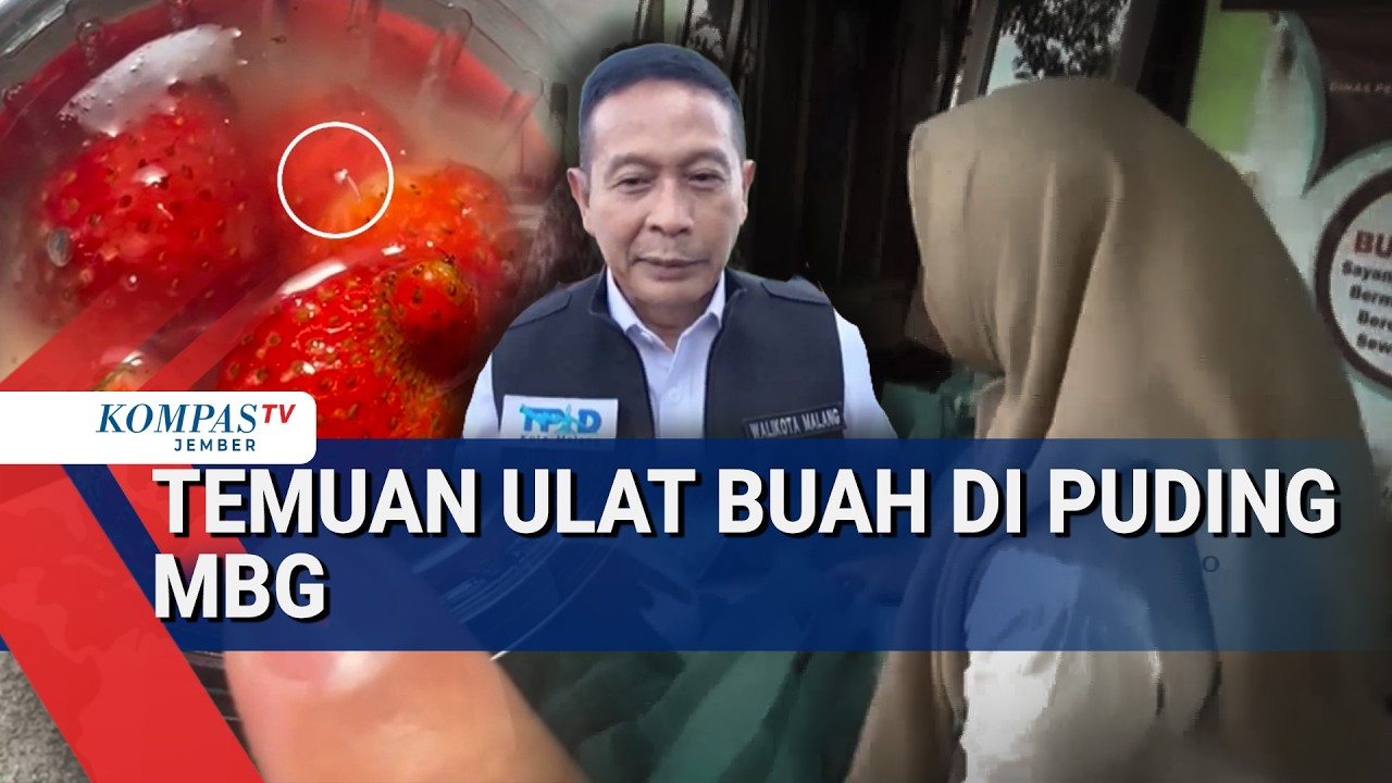 Puding Makan Bergizi Gratis di Malang Ditemukan Ulat, Pemkot Lapor ke BGN