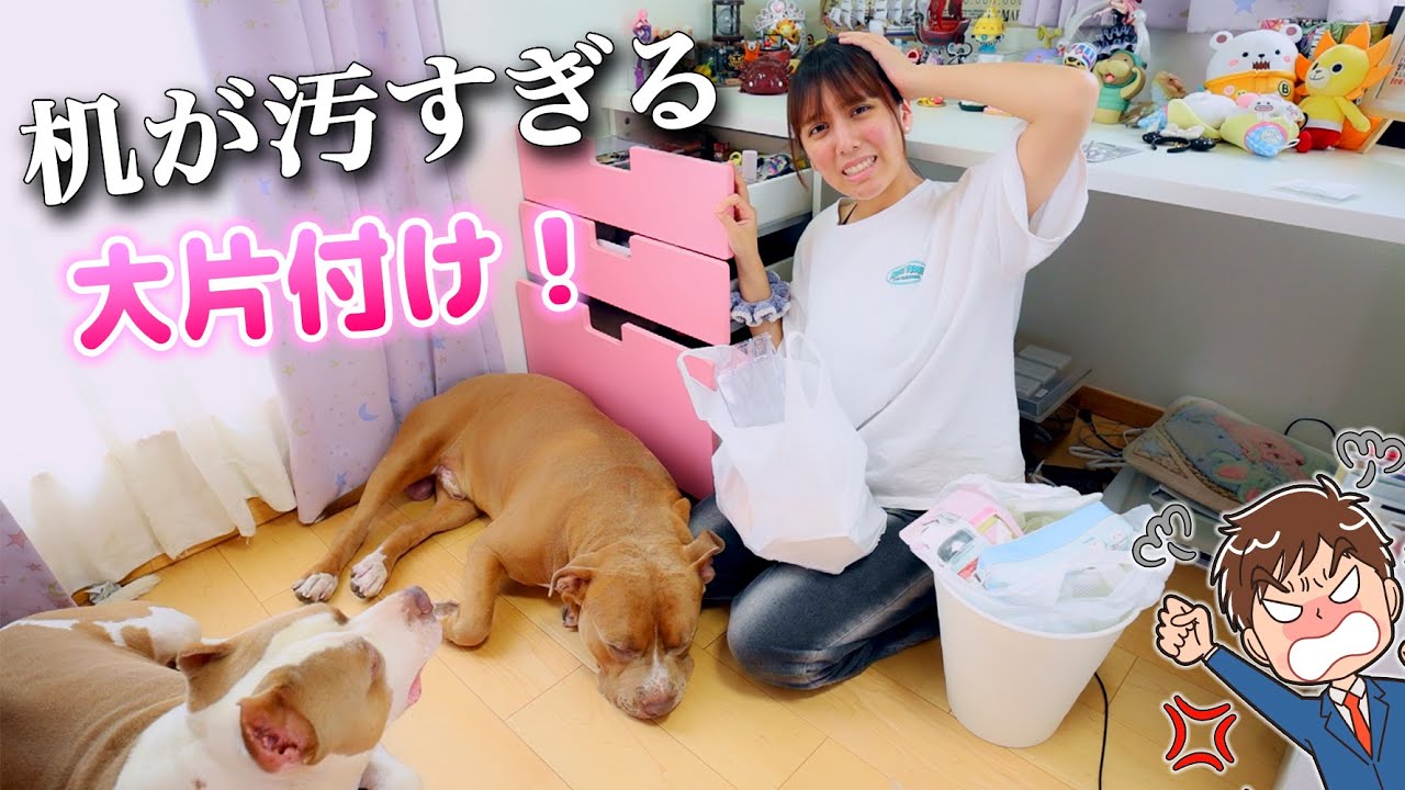机の中が汚すぎる💦断捨離して片付け！コスメも捨てる！【片付け】