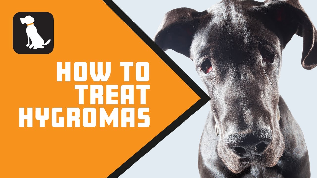 How to Treat Hygromas
