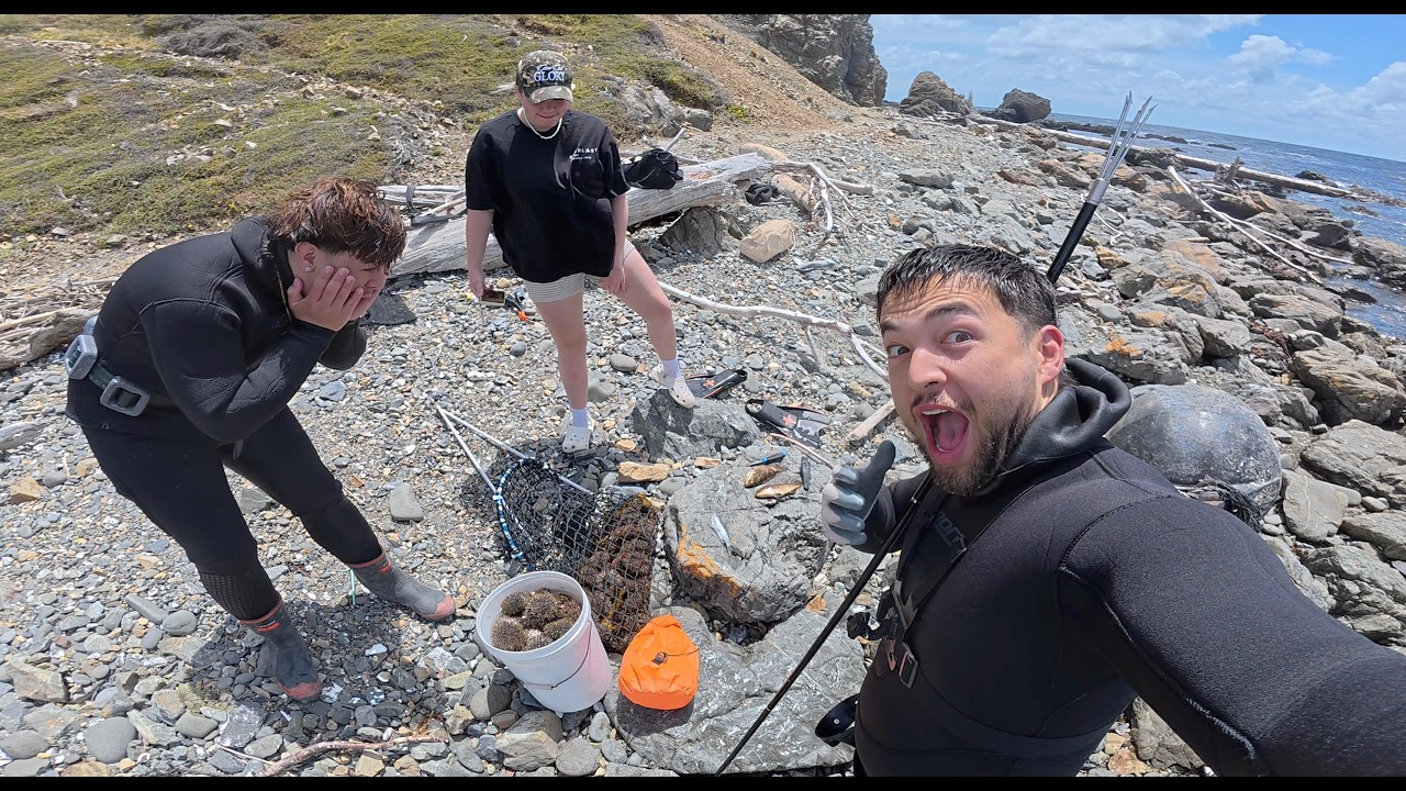DIVING IN SHARK TERRITORY! || KINA, PAUA, SPEARFISHING AND MORE