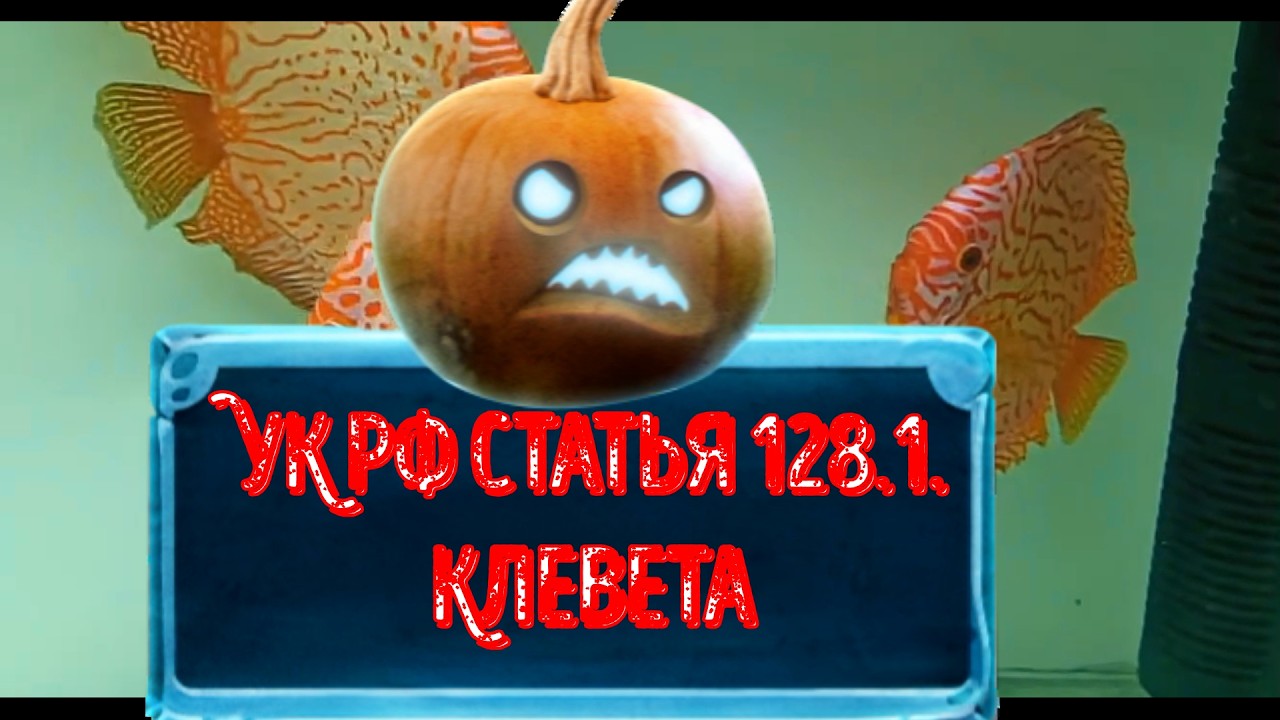 ПОГРЕМУШКИ перешли красные линии! 8 марта 2026 г.