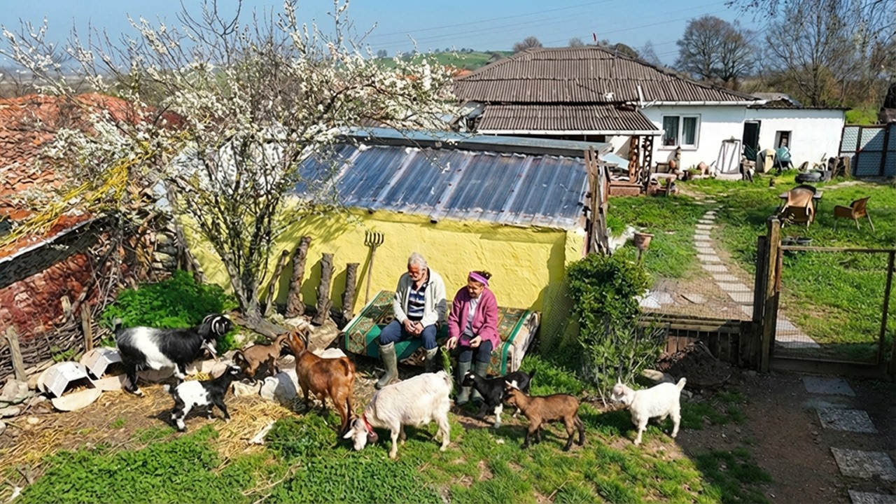 Inspiring Life of an Independent Married Couple in a Mountain Village Far from Civilization