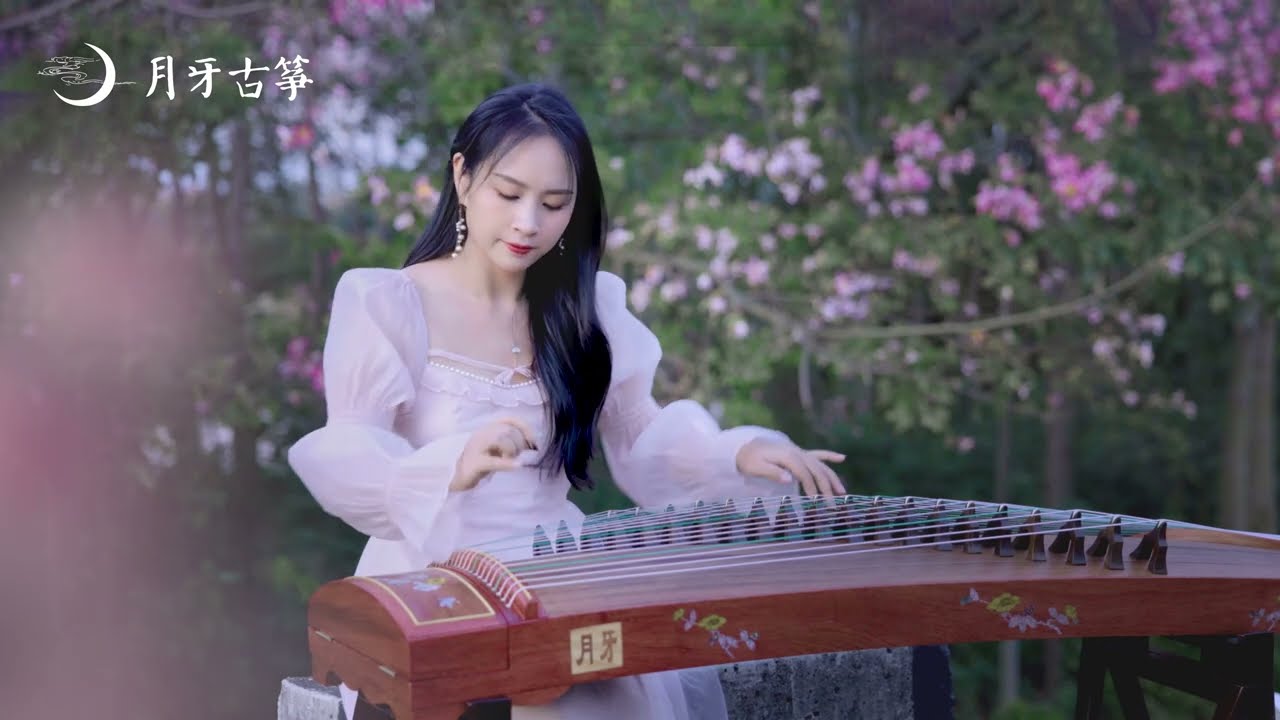 古箏演奏《櫻花草》，包含了多少人的青春回憶？！| Nostalgic classics！| Guzheng | Chinese culture |Chinesesong