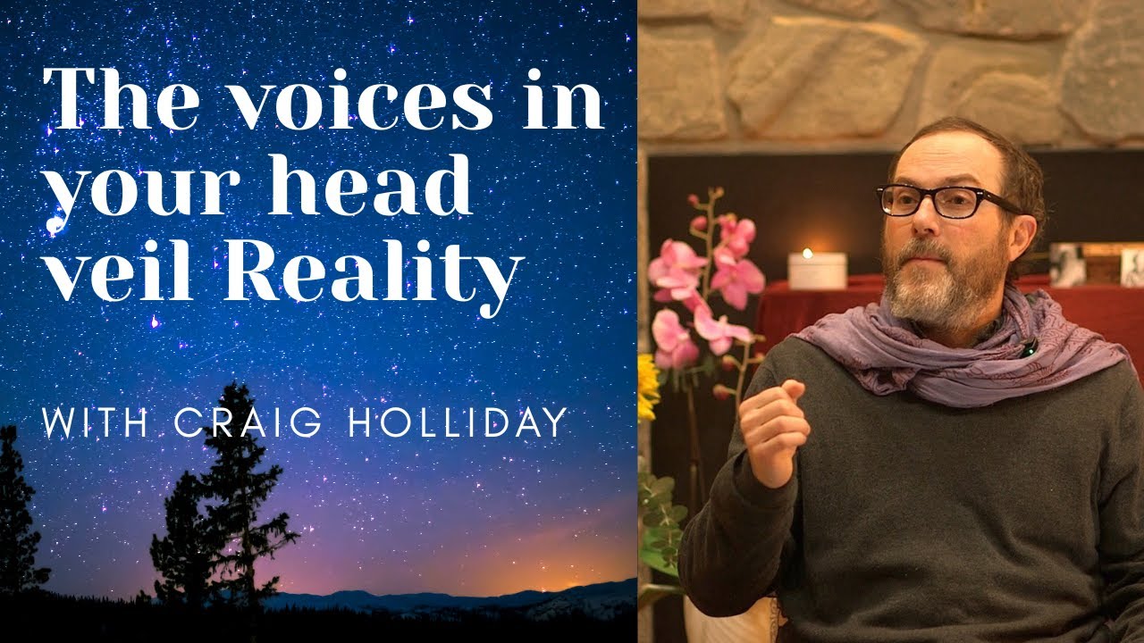 The 2 Great Veils of Reality. Ego and Self Consciousness.   Retreat sessions #satsang #nonduality