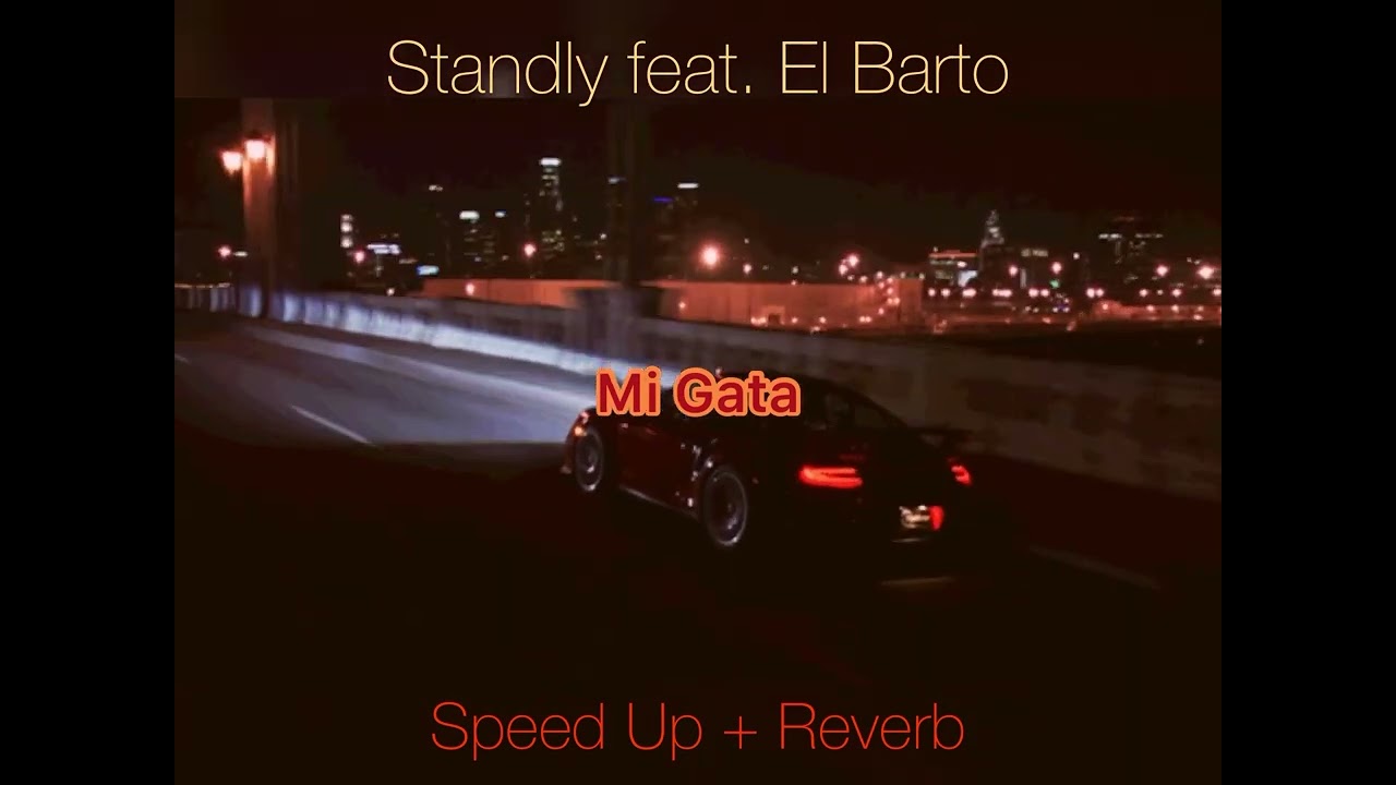 Standly feat. El Barto - Mi Gata (Speed Up + Reverb)