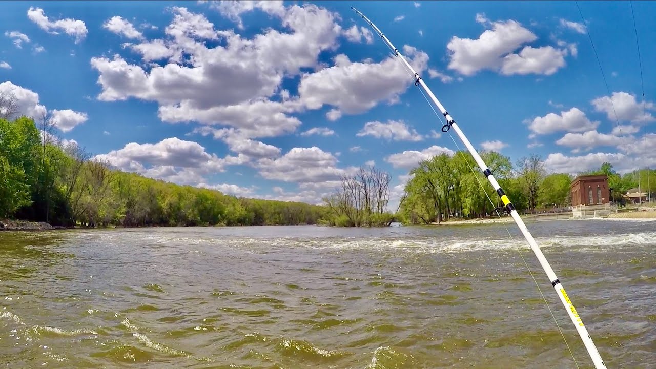 Речная рыбалка на канального сома в Висконсине с приманкой Cutbait!