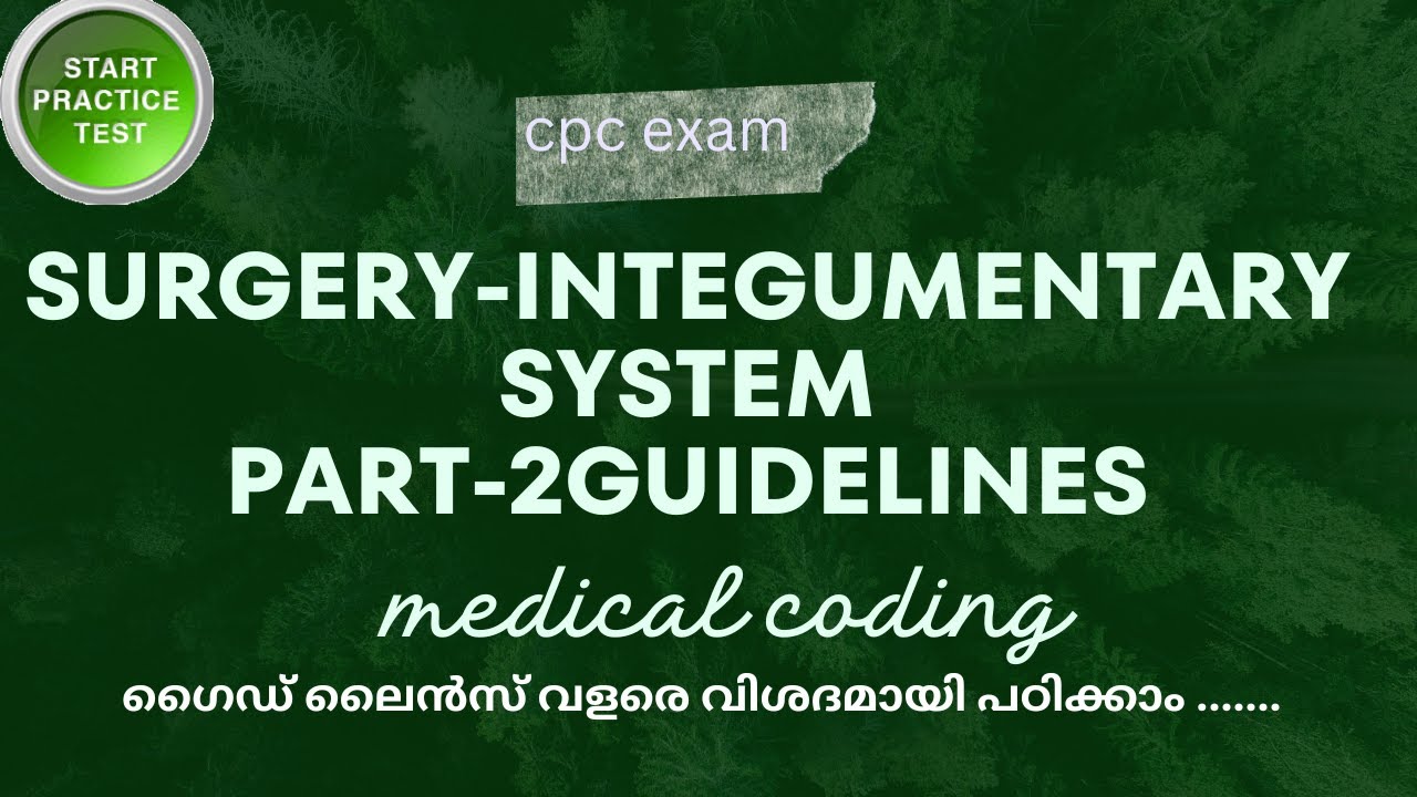 INTEGUMENTARY SYSTEM GUIDELINES AND PRACTICE QUESTIONS PART-2 || MEDICAL CODING