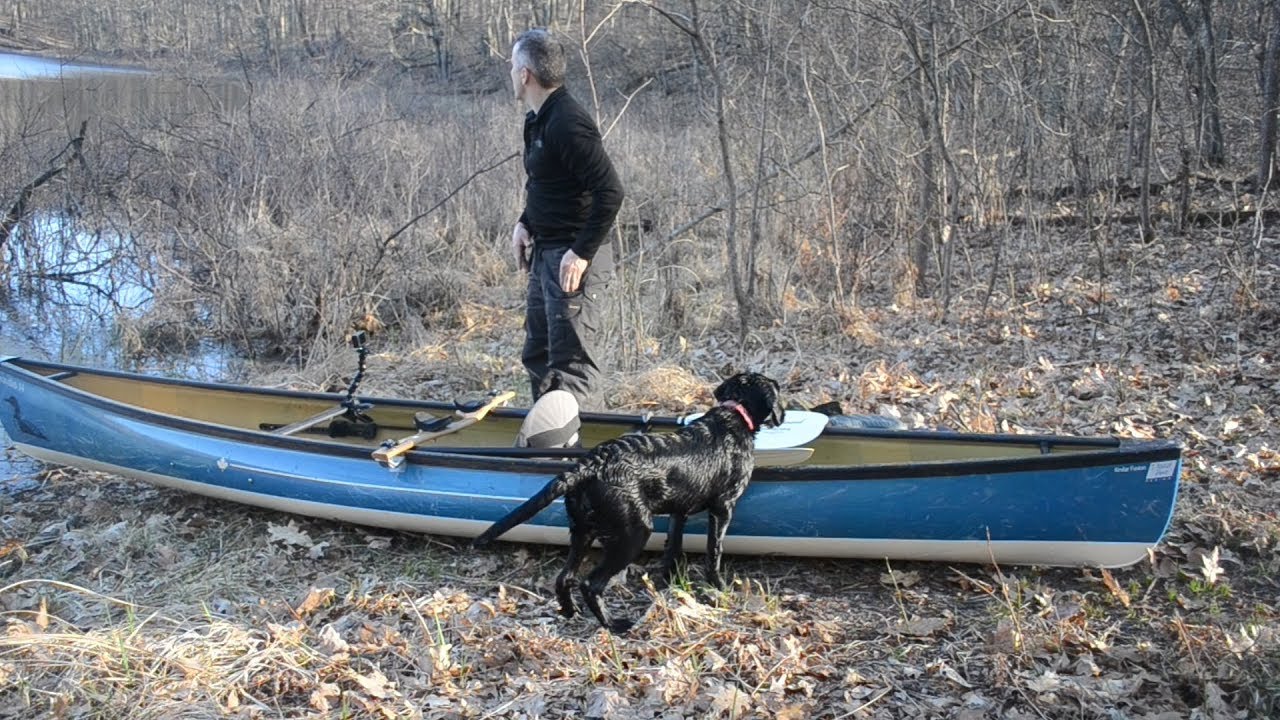 Swift Keewaydin 14 pack puppy's first canoe ride