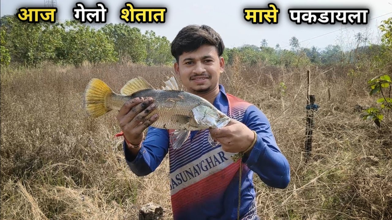 आज गेलो शेतात मासे पकडायला 🐟🐟 खूप मिक्स मासे भेटले | #agrikolifishing #agri #koli #fish #fishing