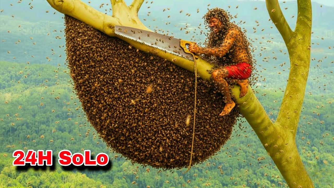 Solo 24 Hours Harvesting Wild Honey on a Giant Tree — 30kg Success