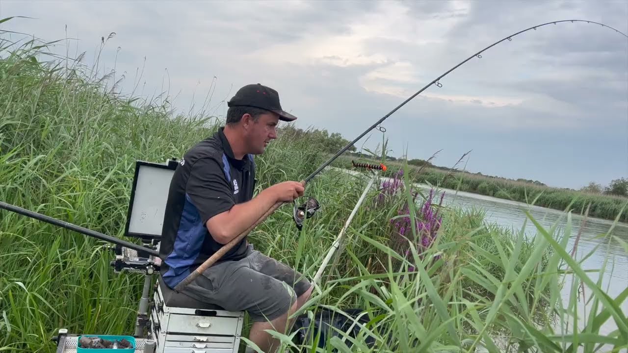 LiVE FISHING: 47. Yare Skimmers