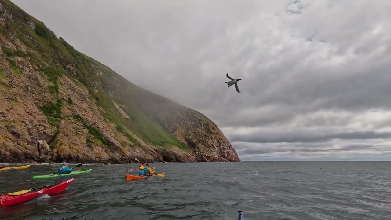 Video 1 of 5. Helmsdale to Dunbeath 21.5 km sea kayak paddle on 24 May 2025 with geology & seabirds.