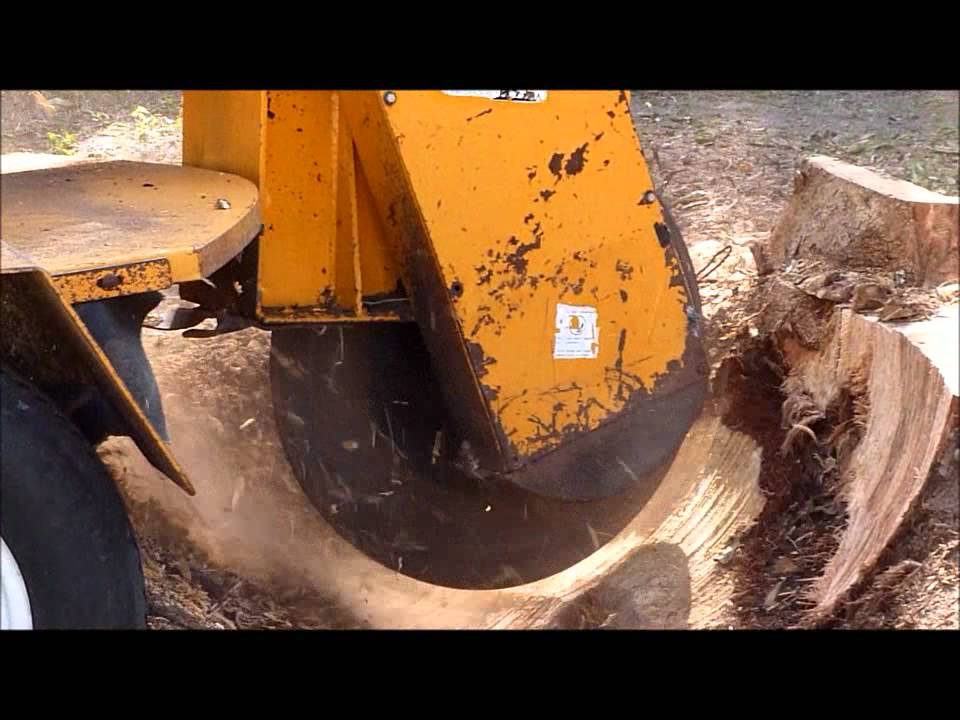 James A Roman Tree Service: Stump Removal / Grinding