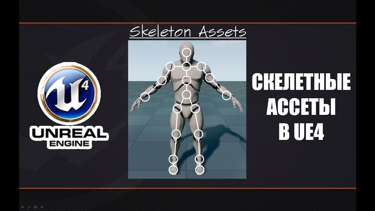 Скелетные ассеты в Unreal Engine