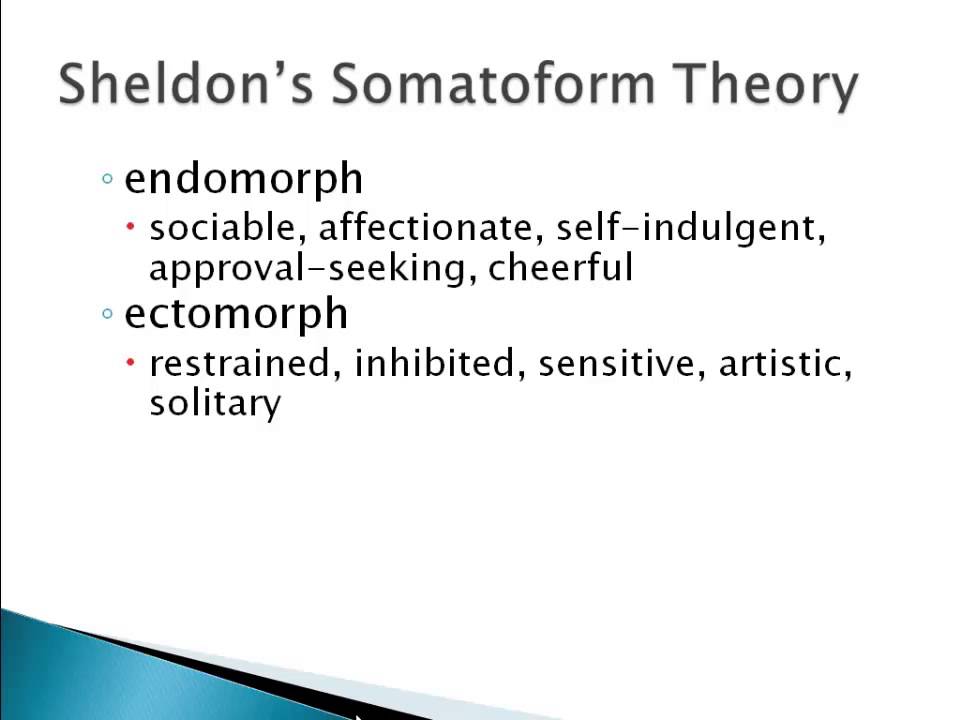 Psychology 101: Type Theories of Personality
