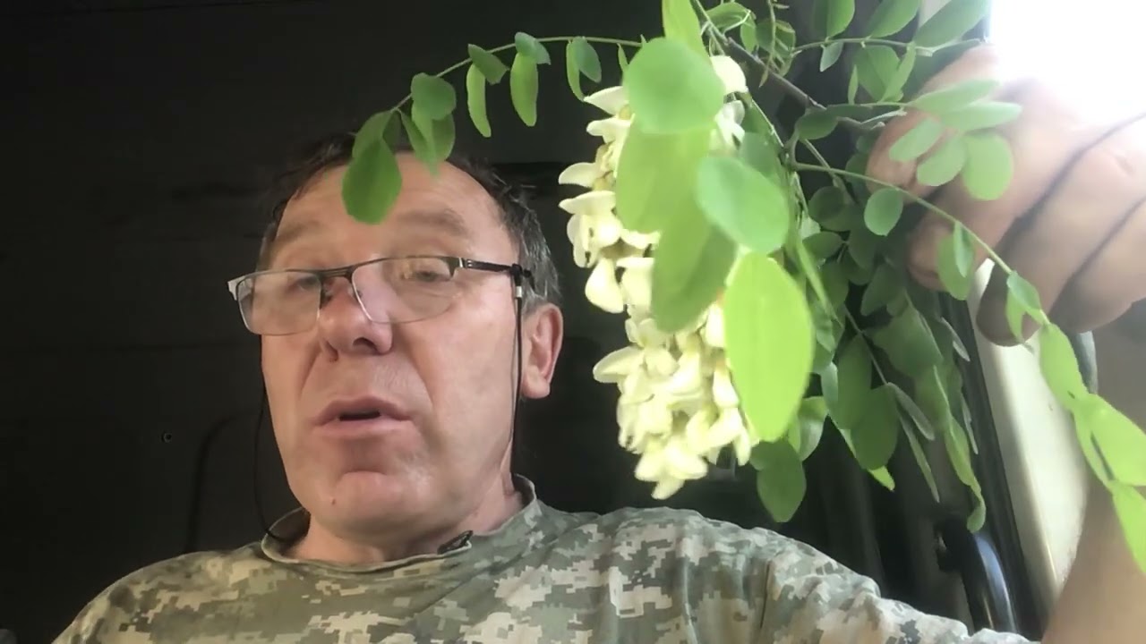 Сушка незрілого меду