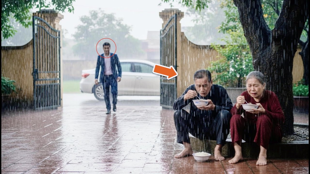 Tỷ Phú về nhà bất ngờ và phát hiện sự thật đau lòng về bố mẹ già ăn cơm trong mưa