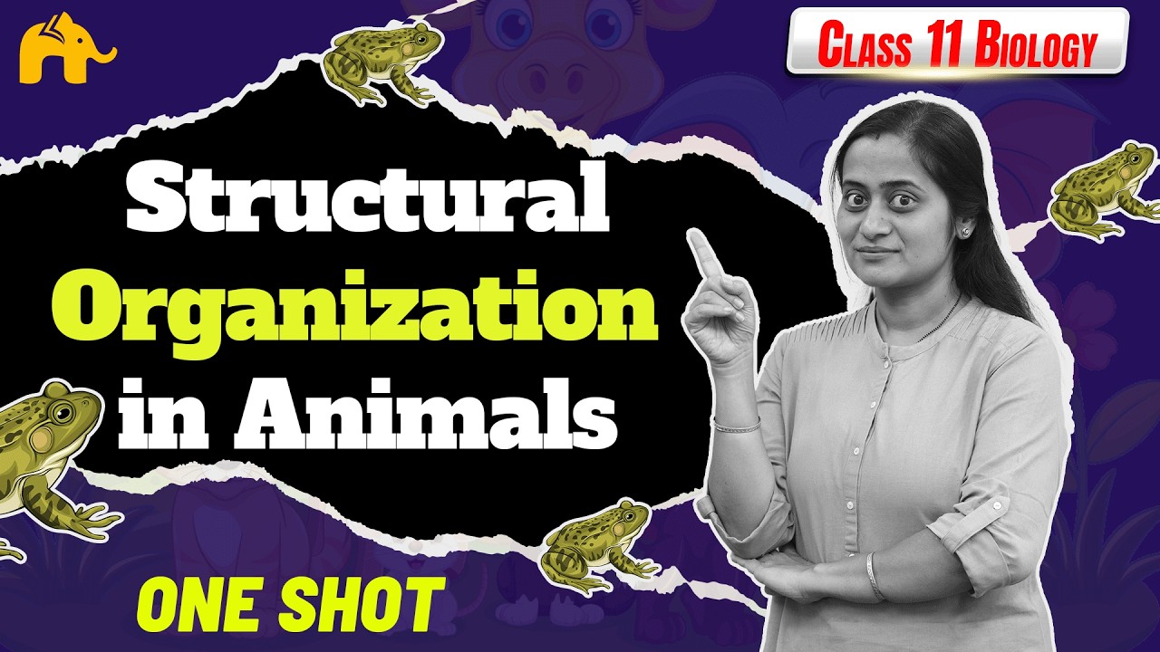 Structural Organization in Animals Class 11 Biology NCERT Chapter 7 | CBSE | Anatomy Morphology Frog
