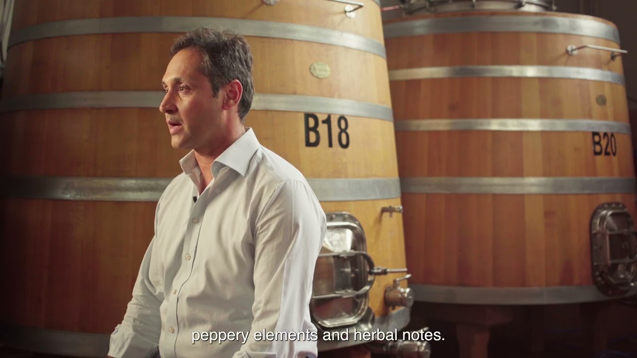Wines of Greece: THESSALIA