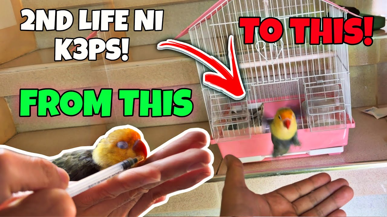 NAKABALIK NA SI K3PS! 