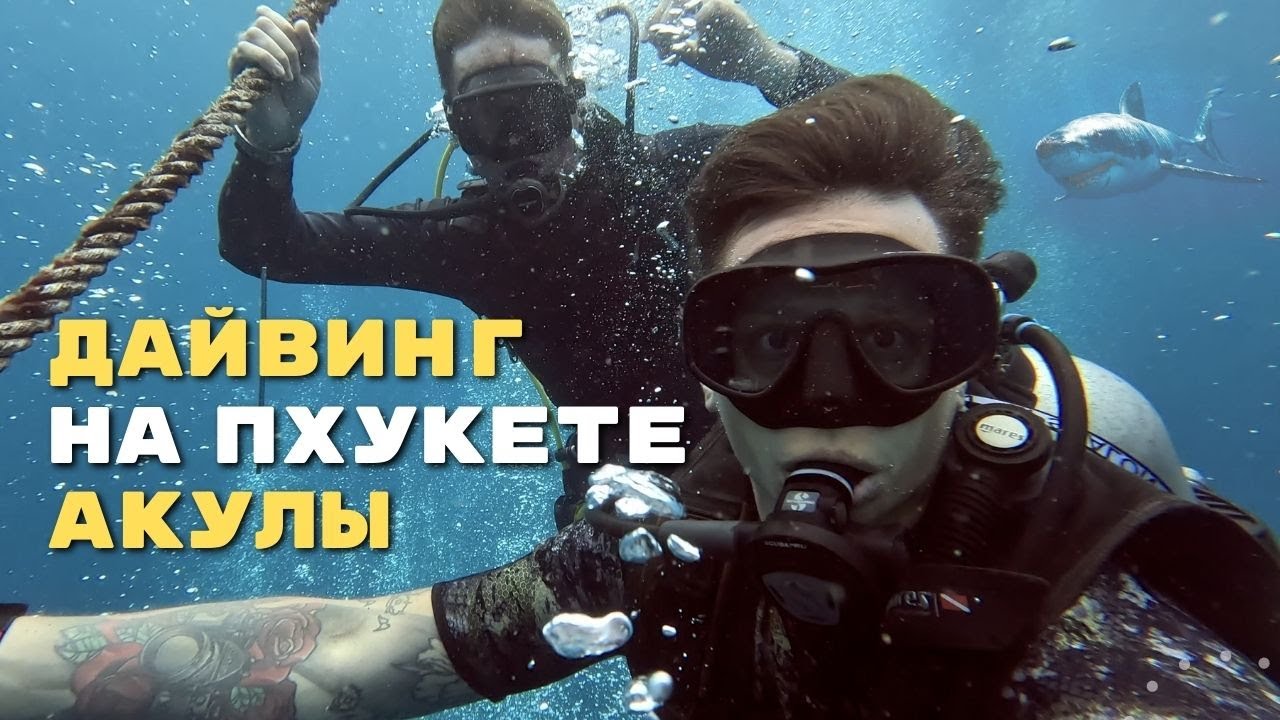 Дайвинг с АКУЛАМИ на Пхукете. Цены. Обучение дайвингу. Острова Рача. Подводный мир Таиланда 2024